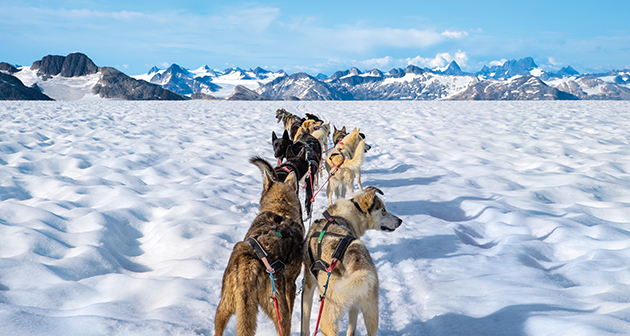 Déjate encantar por ALASKA... ¡SALIDA GRUPAL!