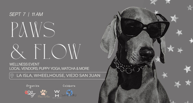 Paws & Flow - La Isla Wheelhouse, Puerta de Tierra