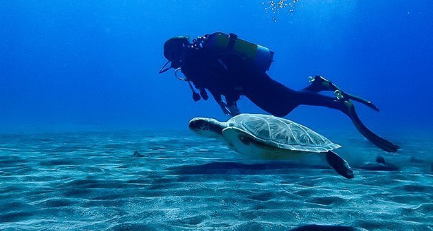 Thalassa Buceo, Los Abrigos
