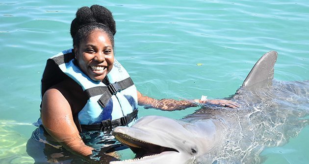 Dolphin Cove Jamaica - Ocho Rios & Montego Bay