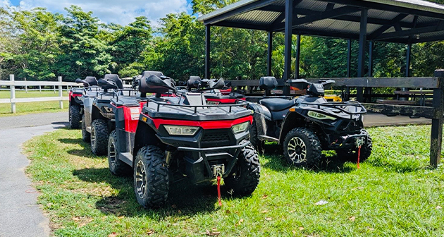 Endless Adventure PR - Dorado