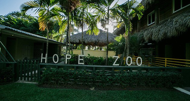 Hope Zoo BOO Fundraiser - Kingston