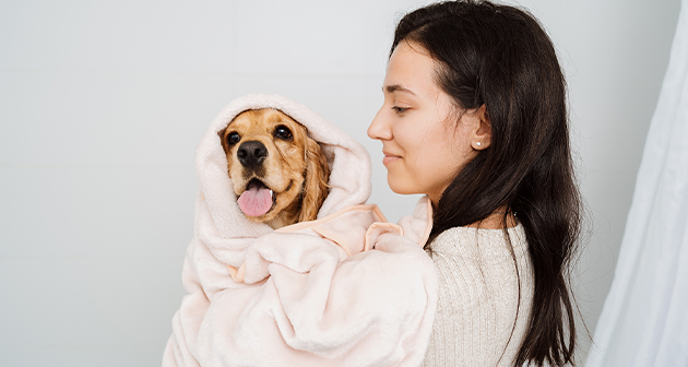 Dogs & Humans Theme Park - San Juan