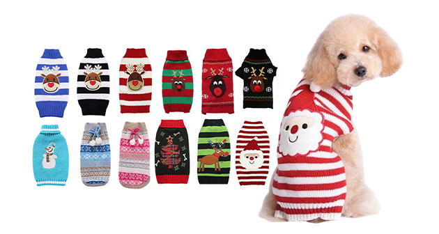 Crown Paw Kingdom - San Juan