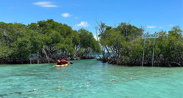 Parguera Glassbottom Kayaking - Lajas