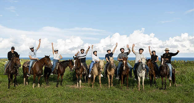 Island View Stable - Humacao