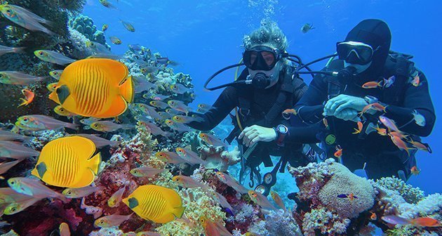 The Black Anchor Scuba Diving & Snorkeling - Aguadilla