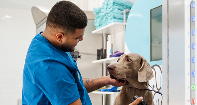 The Bark Bath Dog Wash - Guaynabo