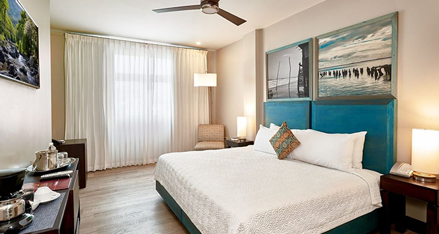 R Hotel - Renfrew Road, Kingston