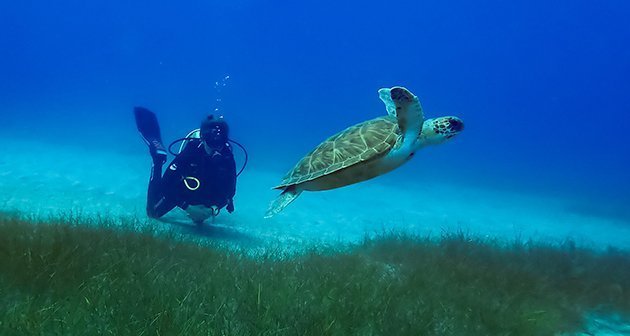 Thalassa Buceo, Los Abrigos