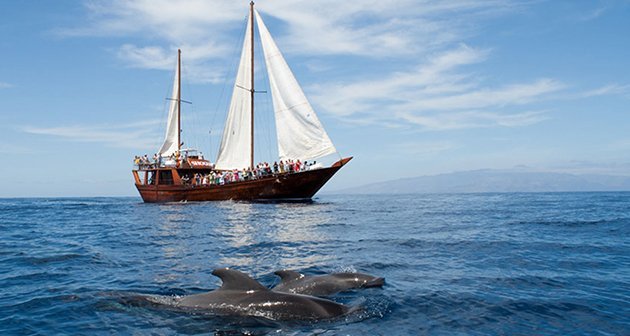 Neptuno Sea Company, Puerto Colón, Costa Adeje