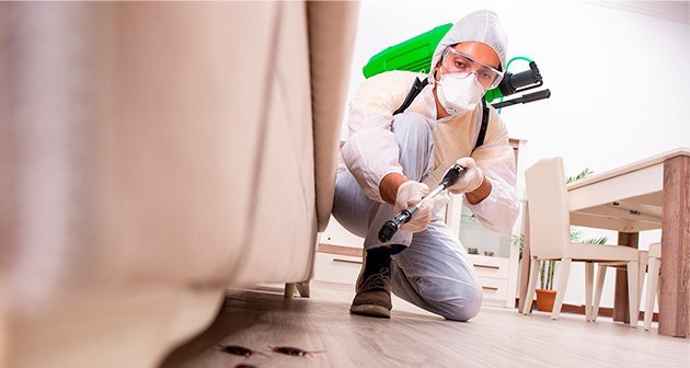 Home Care Solutions (Control de Plagas) - A domicilio