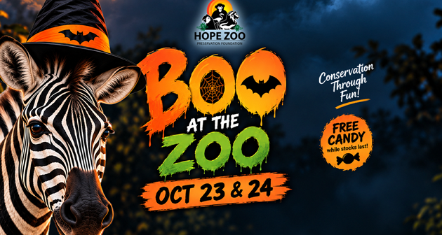 Hope Zoo - Kingston
