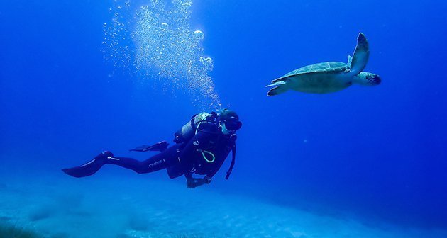 Thalassa Buceo, Los Abrigos